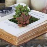10-creative-and-unique-diy-planters-inspire-your-home-garden.w654