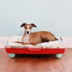Red-suitcase-dog-bed-DIY