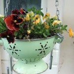 images (1)