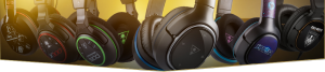 Turtle_beach