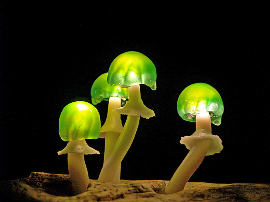 Mushroom-LED-lamp-Yukio-Takano-Great-Mushrooming-12-889x667