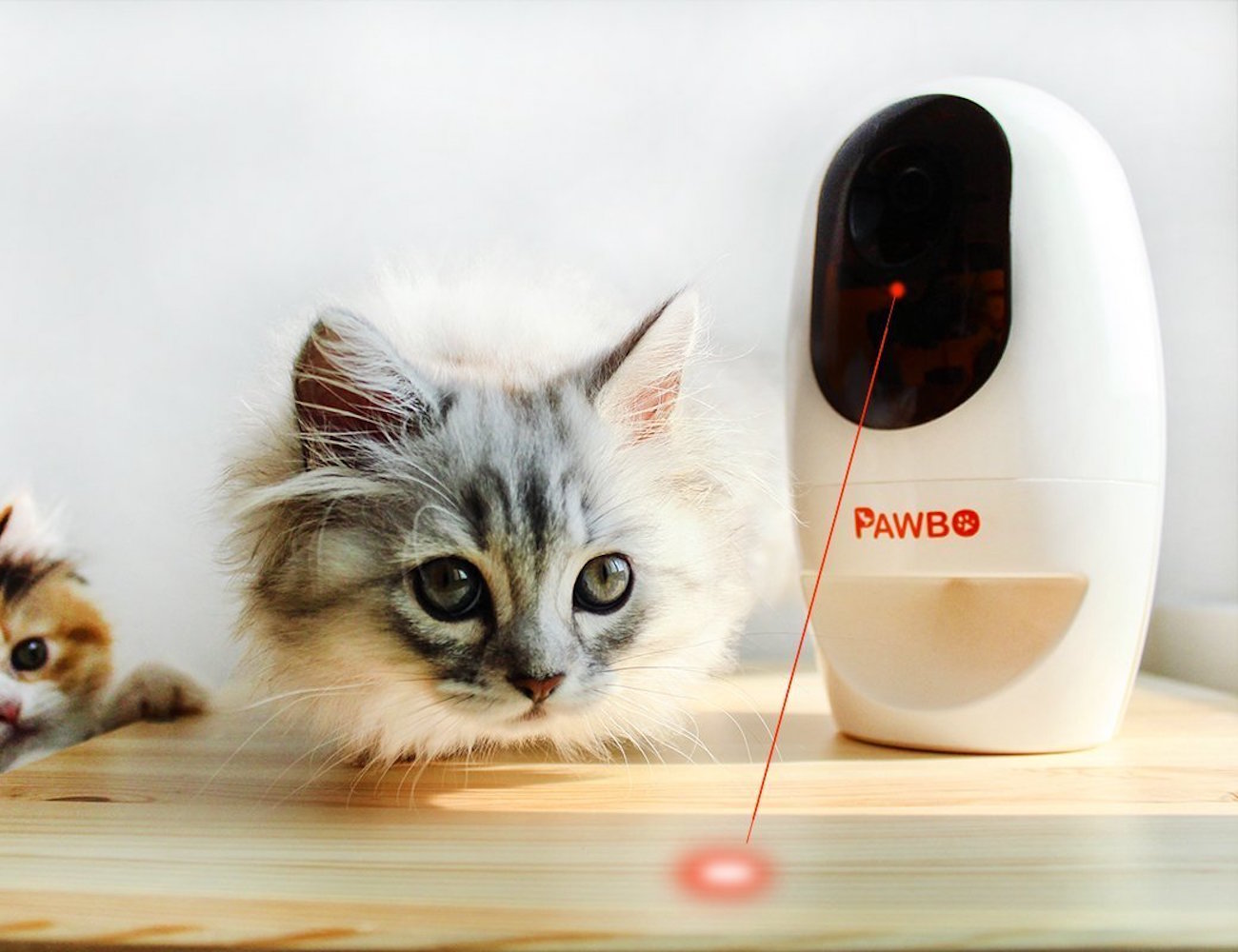 Pawbo-Wi-Fi-Pet-Cam-and-Treat-Dispenser-03