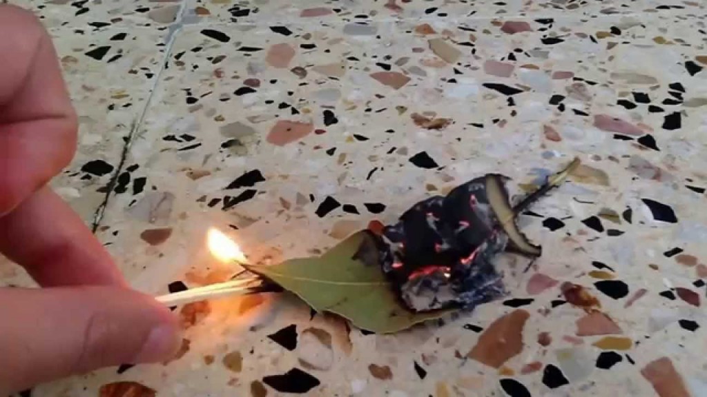φύλλο δάφνης