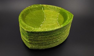 leaf-bowls-by-Leaf-Republic-8-1020x610