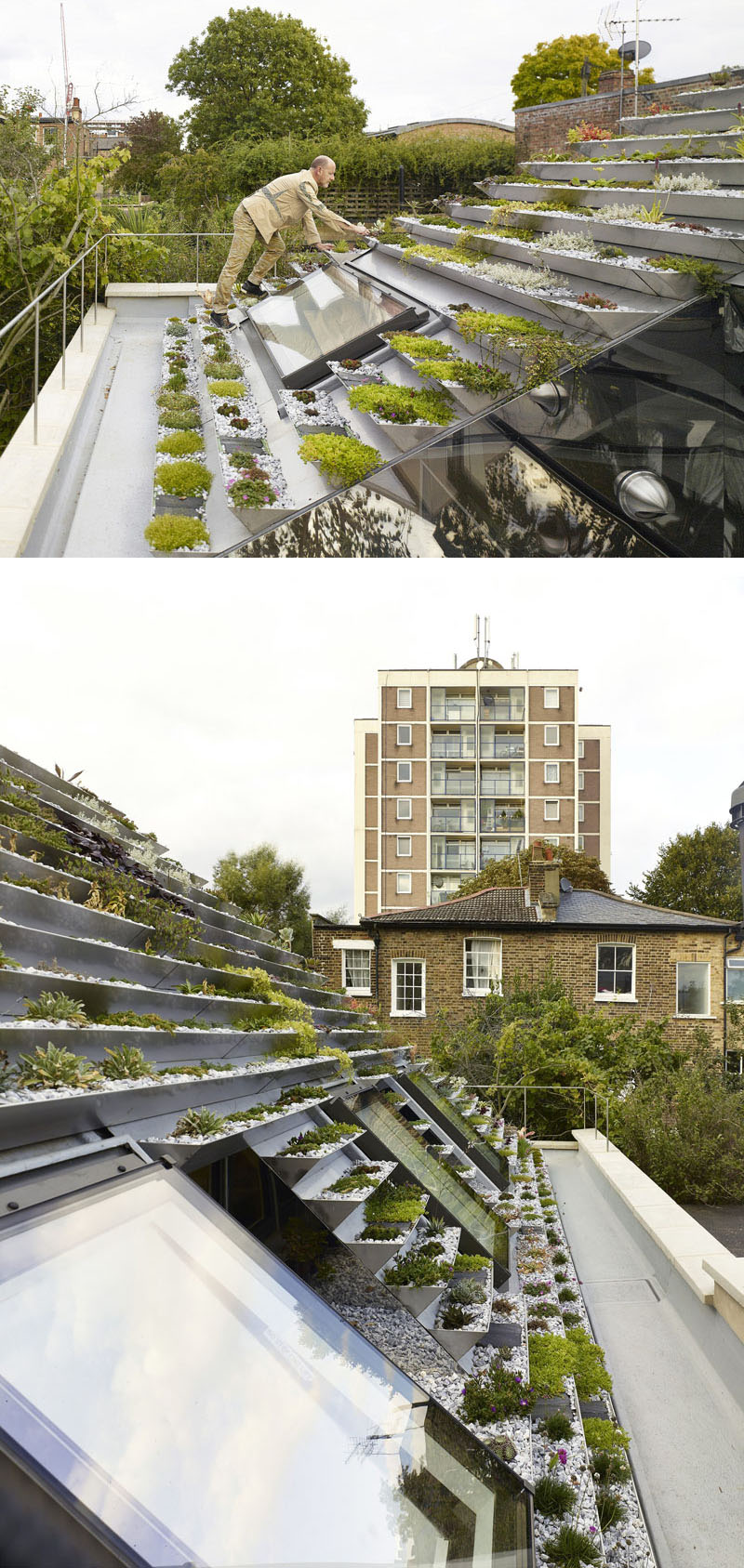 green-roof_040816_05