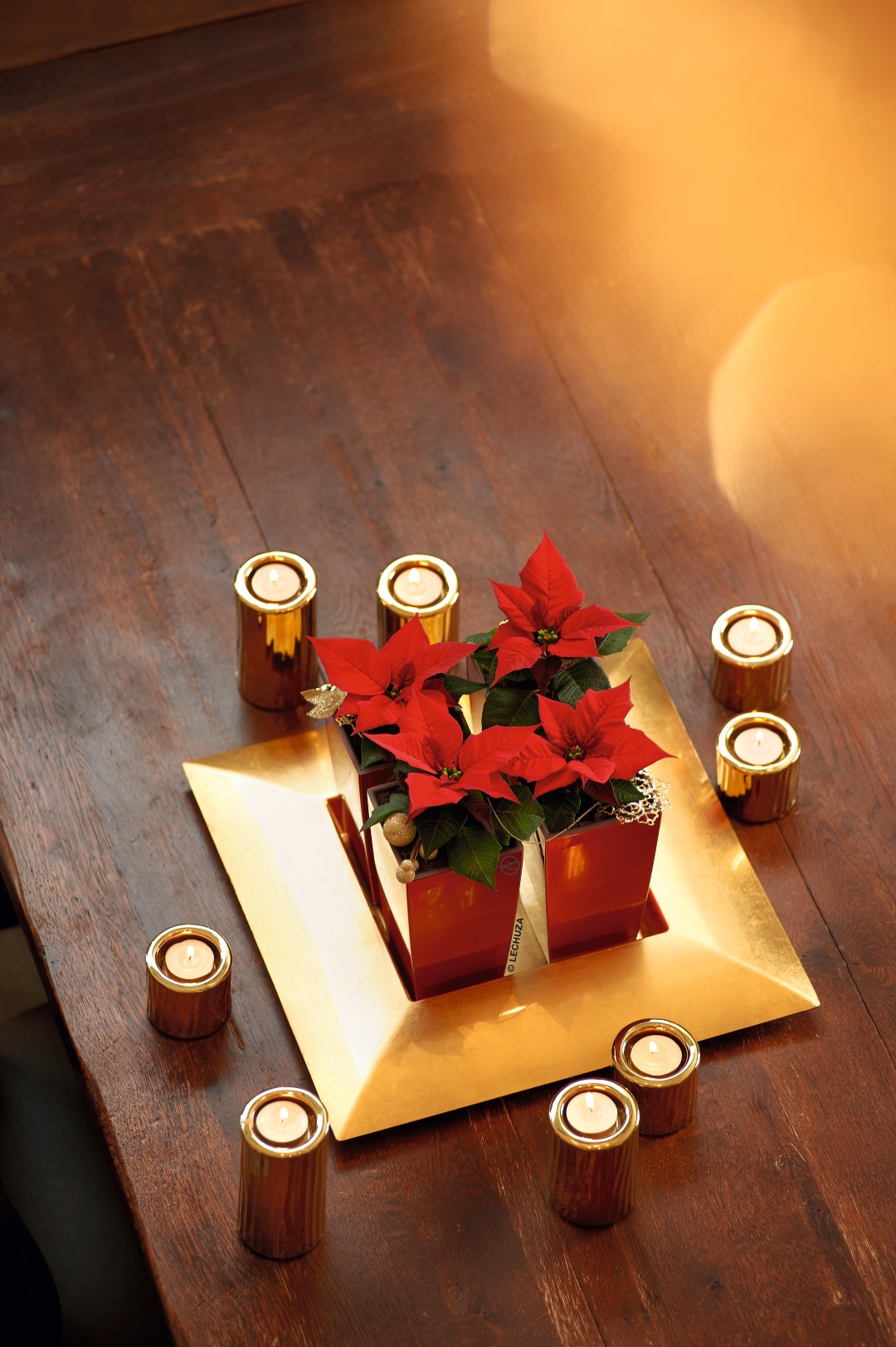 lechuza-xmas-3
