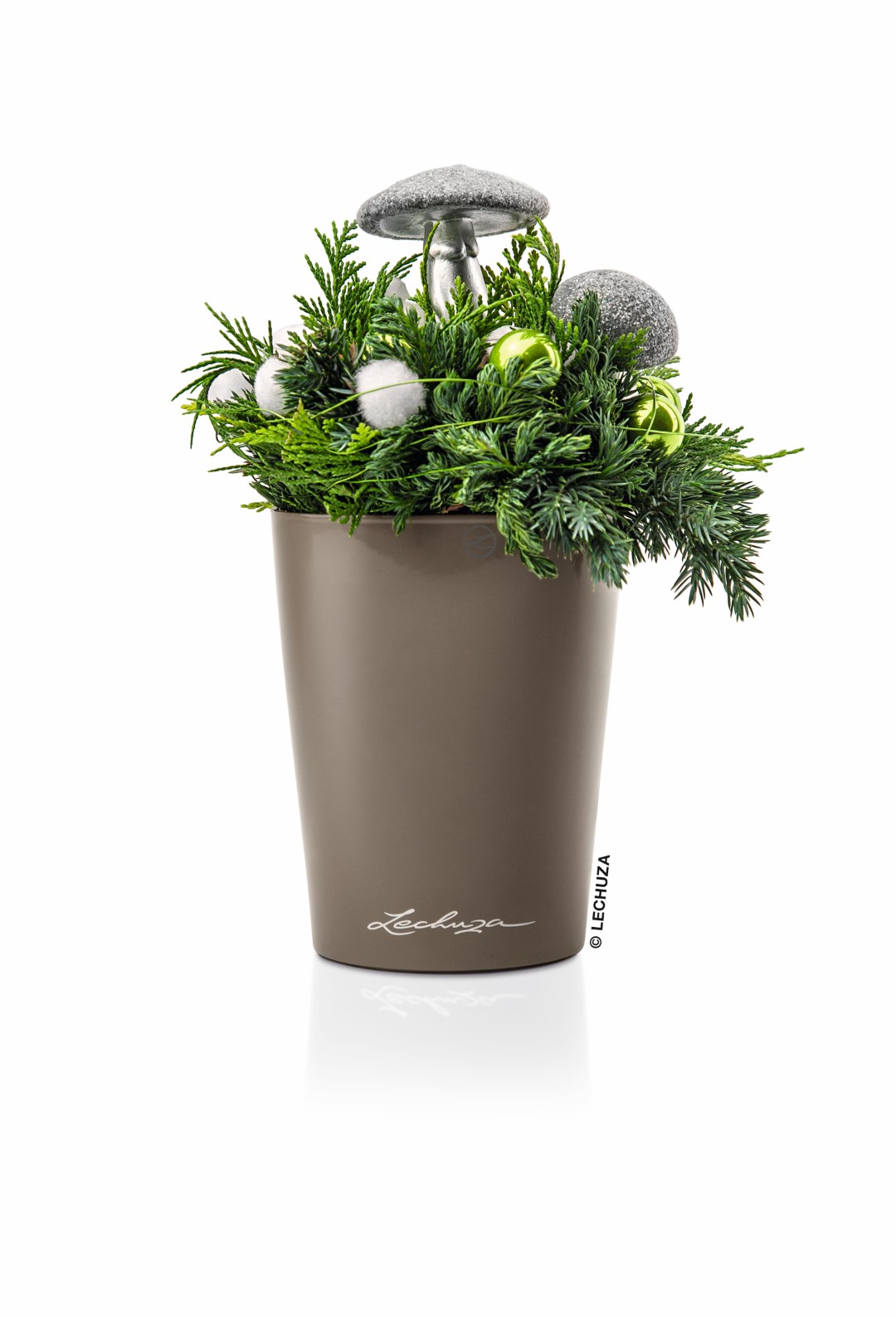 lechuza-xmas-7