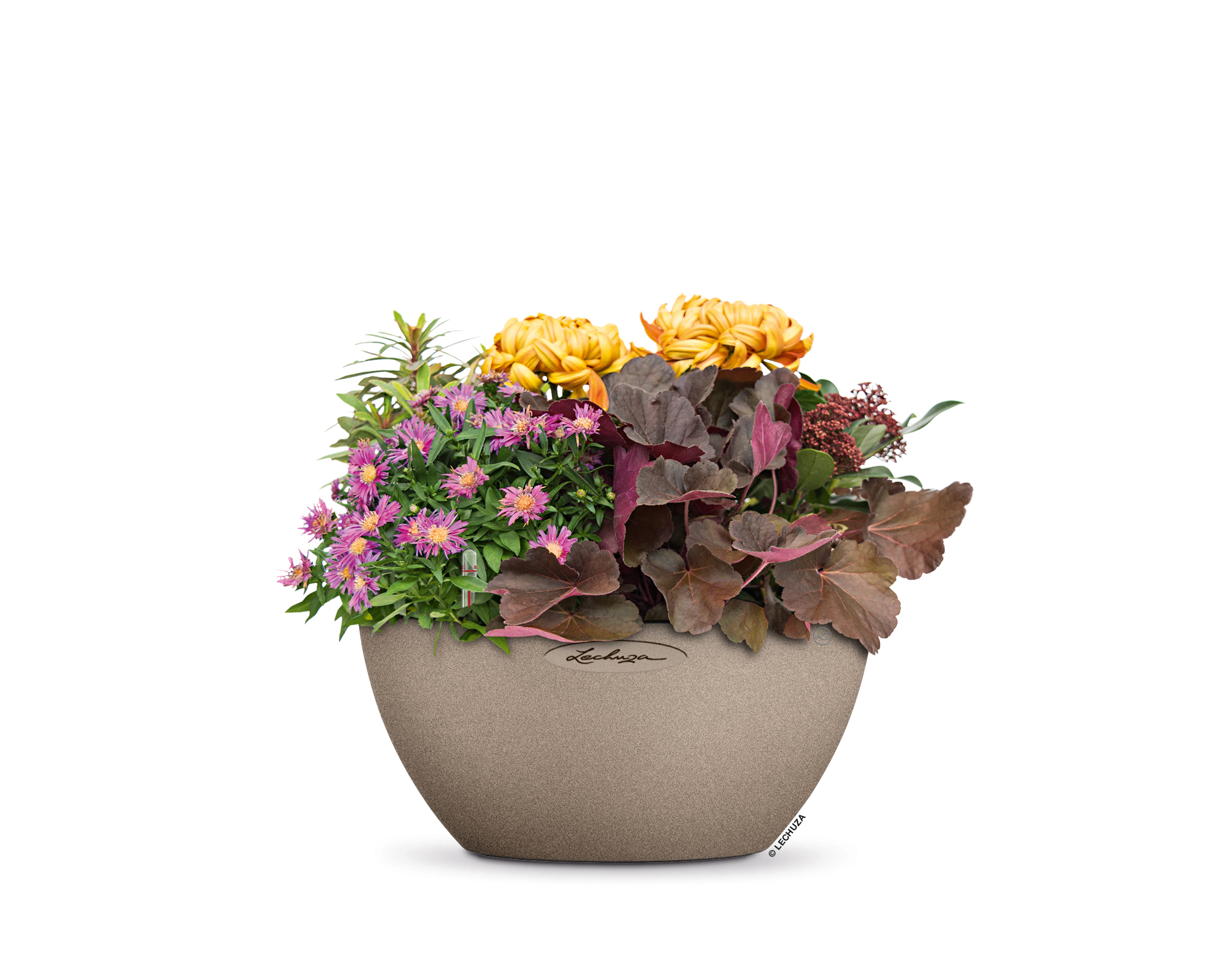 fp_cubeto_30_sandb_komplett_arrangement_2016