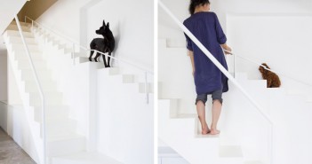 Vietnamese home special staircase for dogs