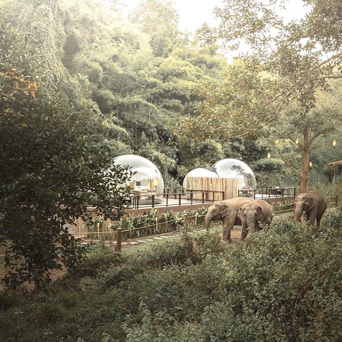 ξενοδοχείο ελέφαντες
