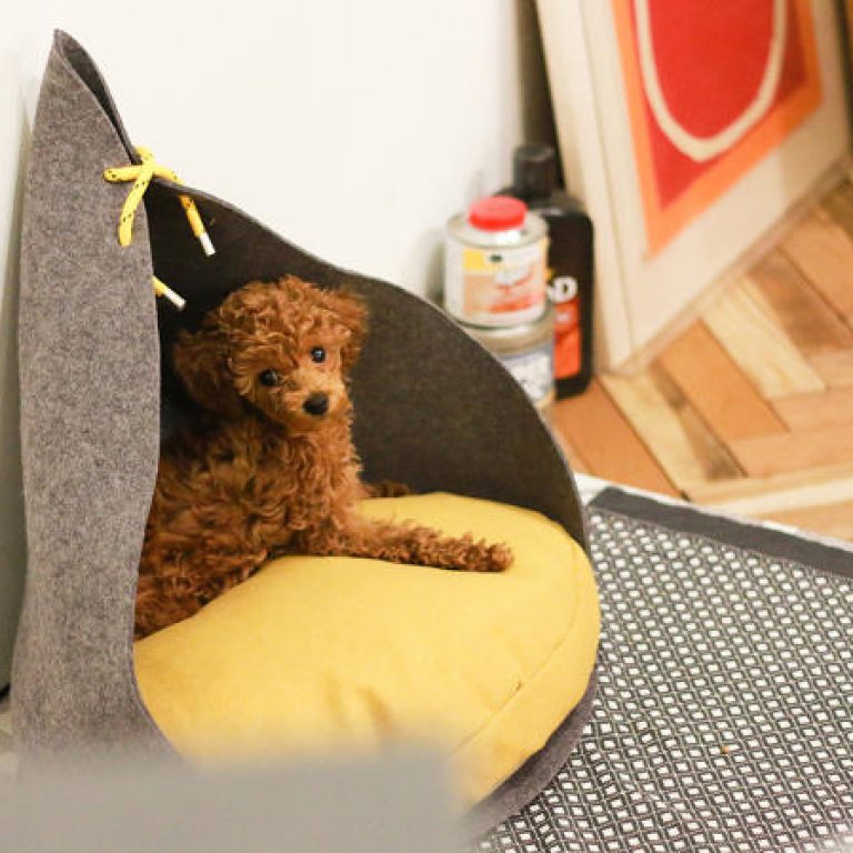 3055920-slide-s-2-a-blueprint-for-a-circular-economy