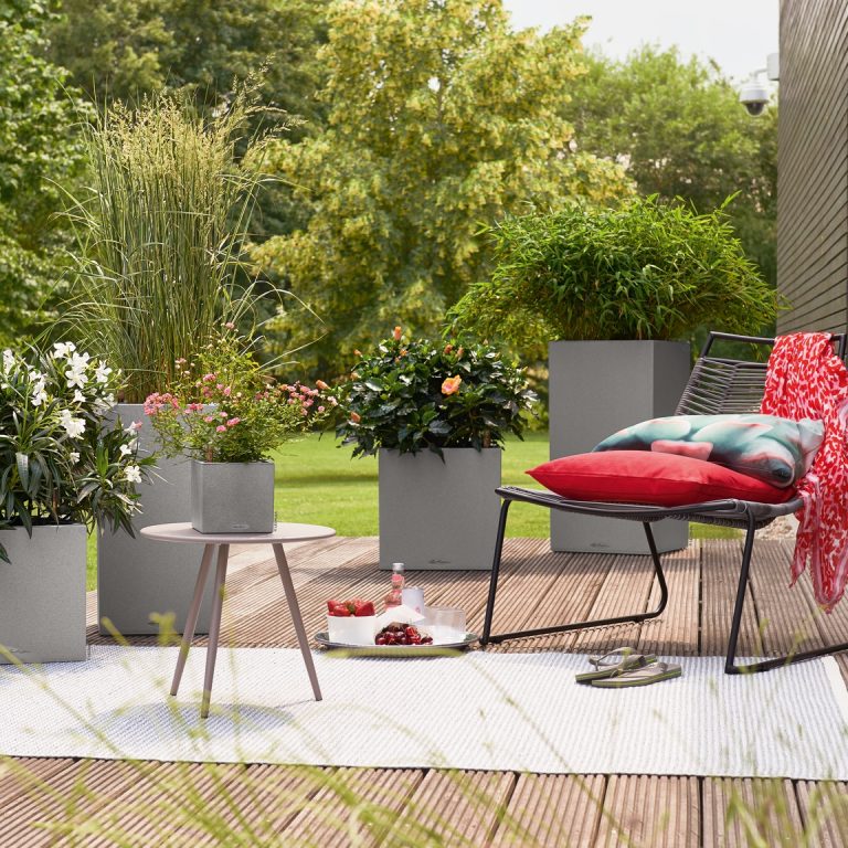 A_CAW_CAS_14_30_40_Bambus_Gras_Oleander_2018