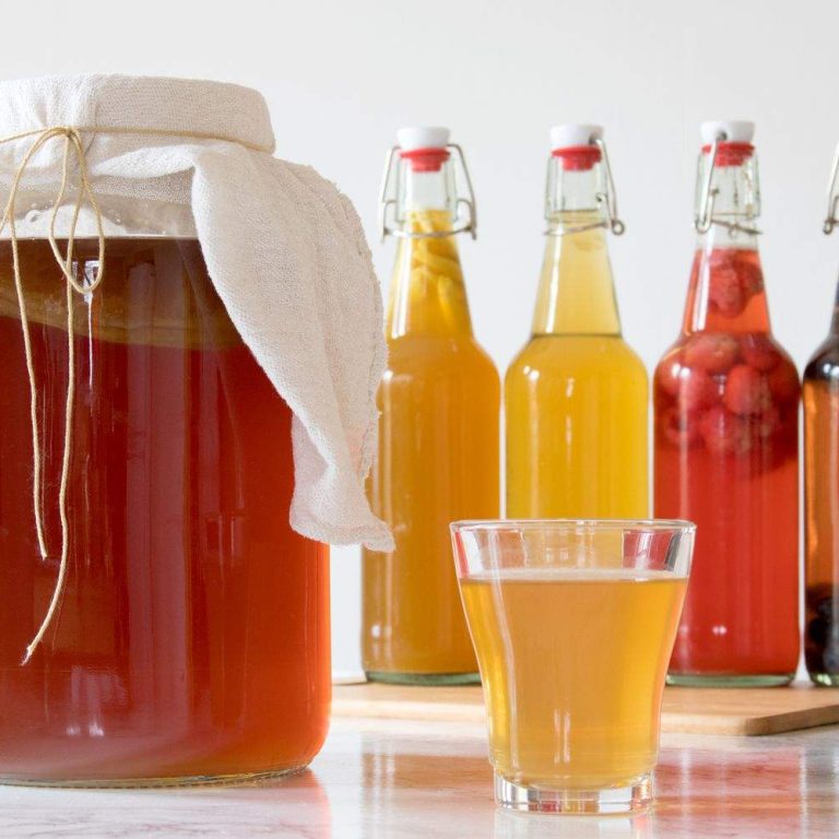 Kombucha-4798807-032-6a32b7640da34c198522f9485cc33da6