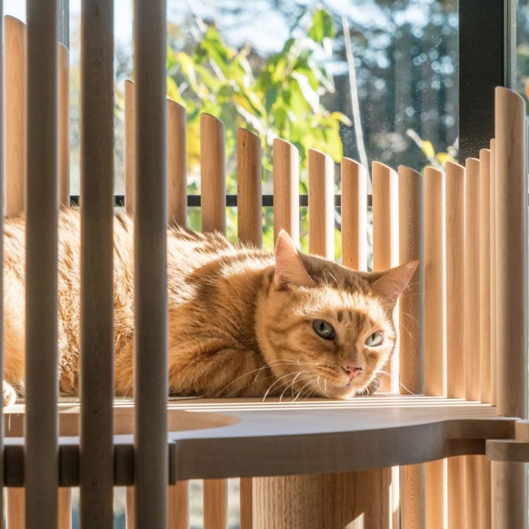 NEKO CAT TREE (3)