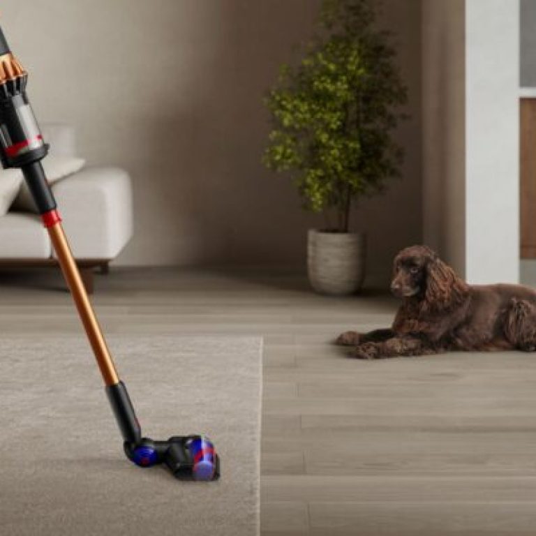 SV53-A_BLKBCOBLKBCO_068-RGB-InUse-BinCompress-Woman-Sofa-Dog-Rug-HardFloor-A1_MIX-750x400