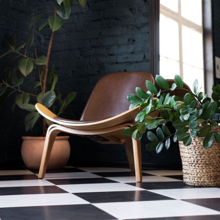 beautiful-modern-plants-deco (1)