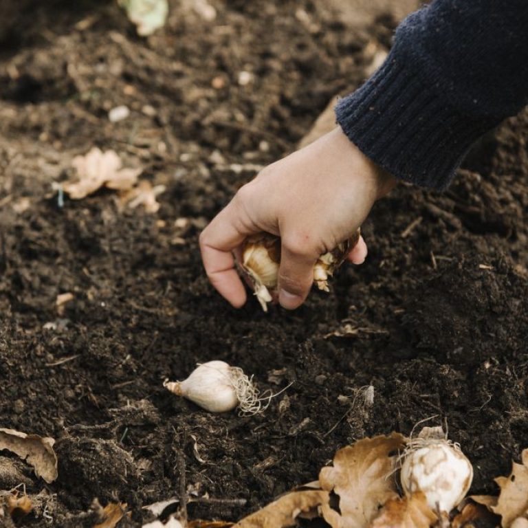 beautiful-picture-female-doing-gardening