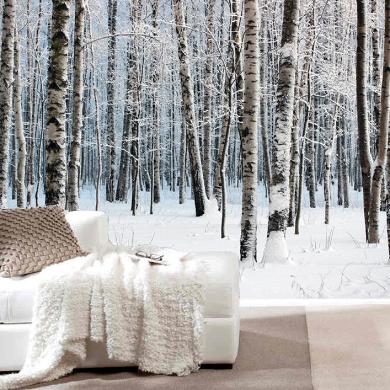 birch_tree_wallpaper-designrulz-2