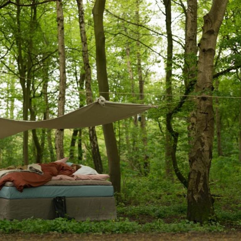 cocomat_4_layer_11-900x600