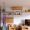 combining-a-love-for-cats-and-plants-with-space-conscious-home-design