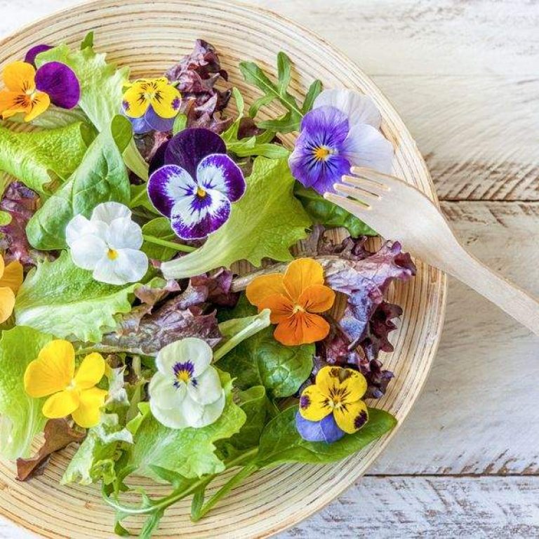 edible-flowers-1591216919