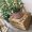 flowerpot-with-plant-box