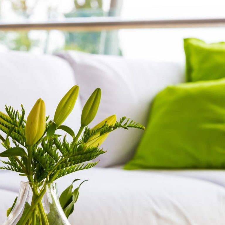 green-flowers-as-interior-decor-white-sofa-with-green-pillows