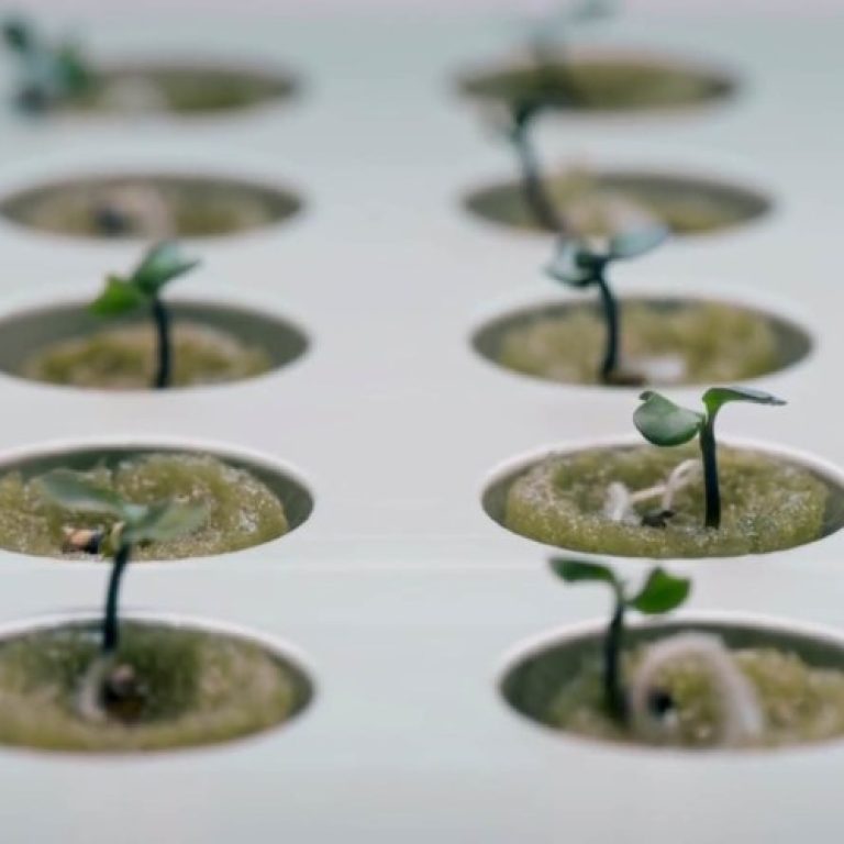 ikea-hydroponics-01-889x500