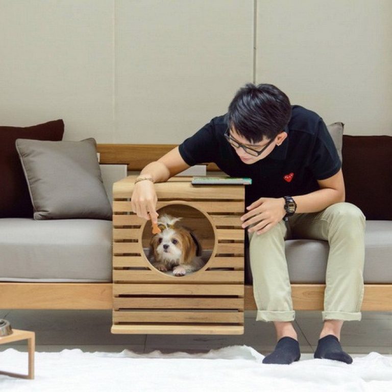 img_5_1453709076_dccc44dae933c37edd417e554b4e4a1c-818x544