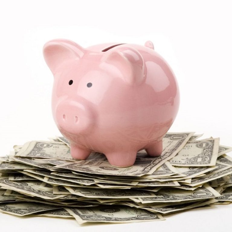 pig bank