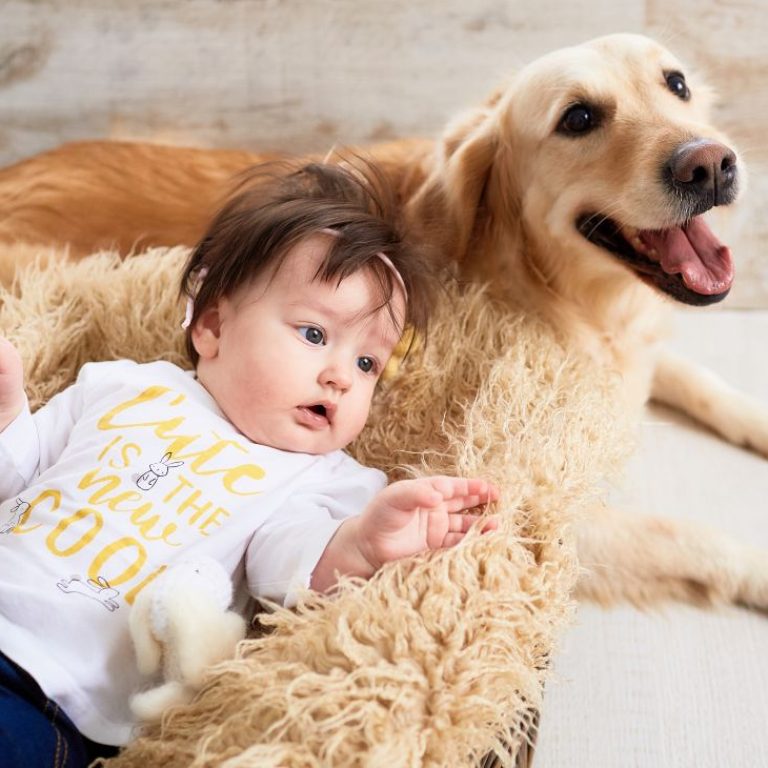 small-baby-lies-basket-near-dog