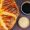 top-close-view-baked-pastry-bun-formed-with-raw-rice-dark-background_140725-49806