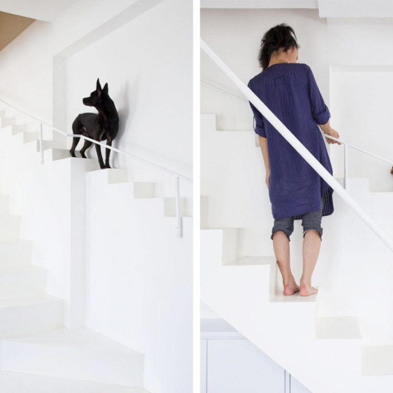 Vietnamese home special staircase for dogs