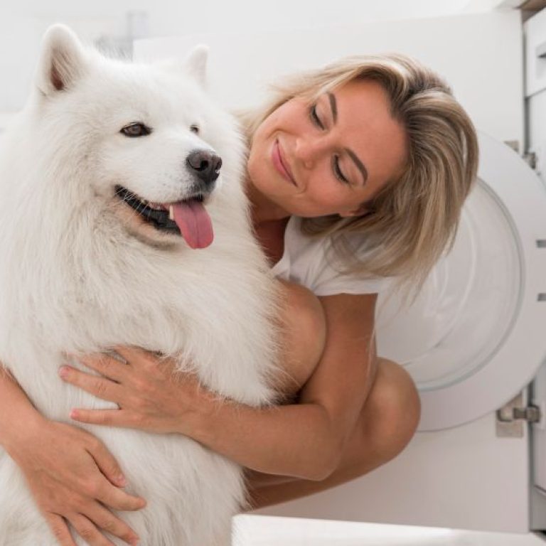 woman-spending-time-with-her-dor