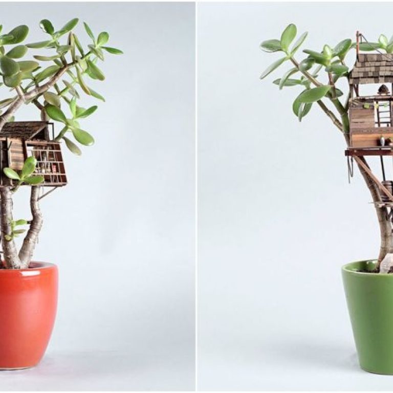 Δεντρόσπιτο στην γλάστρα