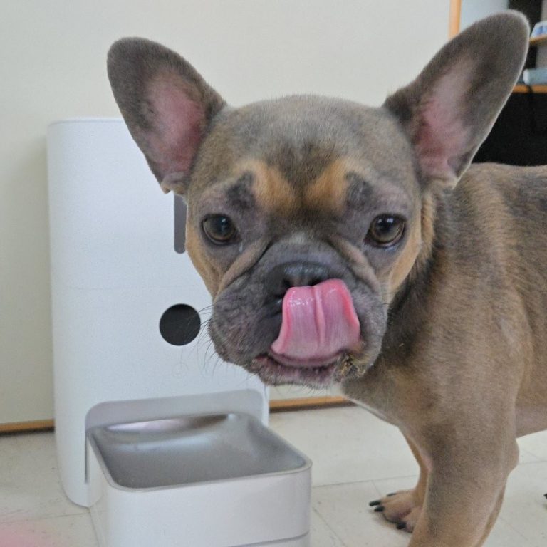 εικόνα_Viber_2025-07-29_15-41-56-318